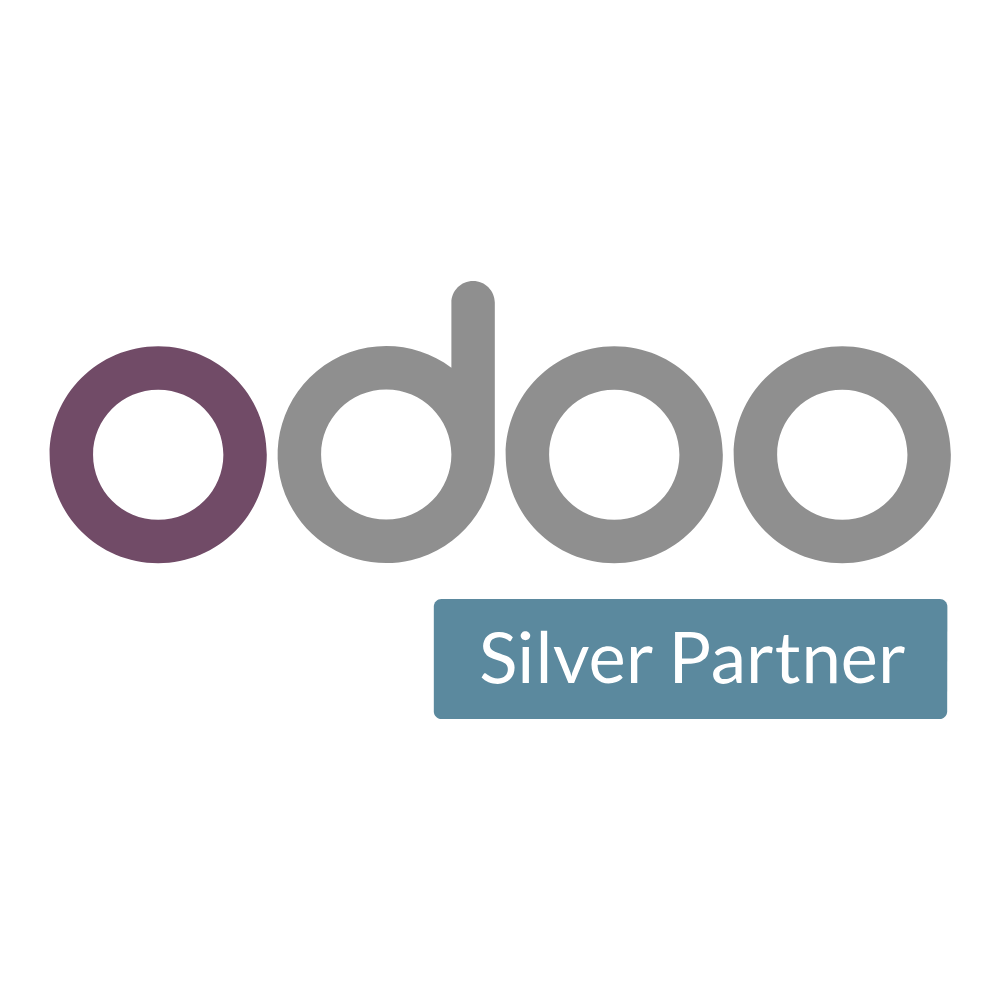 ITROOTS odoo silver partner